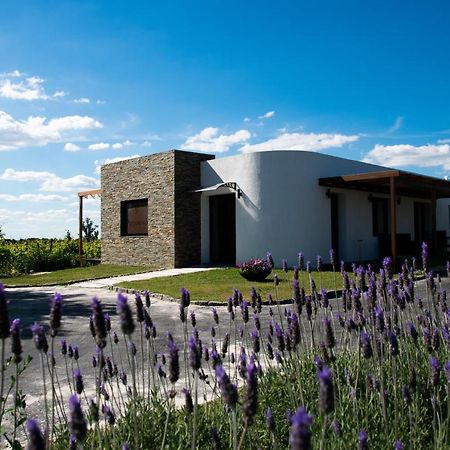 Pizzorno Lodge & Wine Progreso Exterior foto