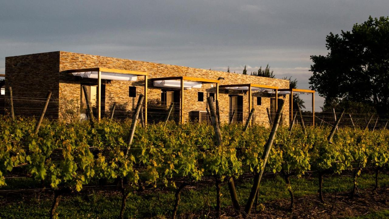 Pizzorno Lodge & Wine Progreso Exterior foto