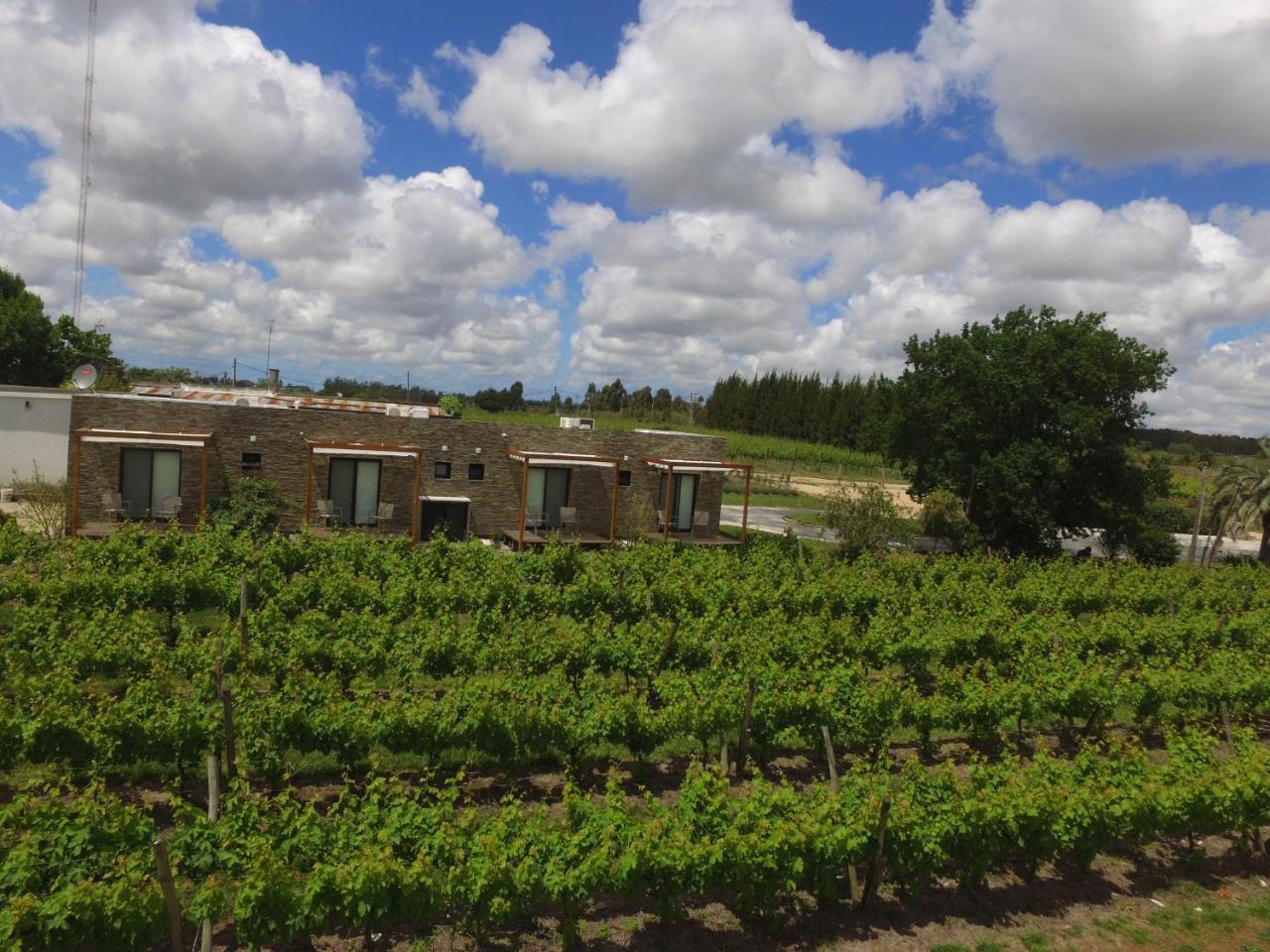 Pizzorno Lodge & Wine Progreso Exterior foto
