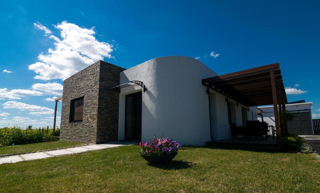 Pizzorno Lodge & Wine Progreso Exterior foto